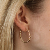 Boucles d'oreilles Narcisse M