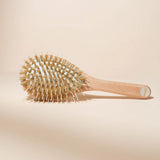 Brosse à cheveux Soin & Brillance
