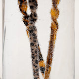 Pic Cheveux Expresso