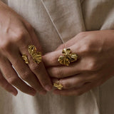 Dysis ring