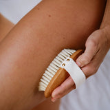 Brosse Corps Brossage à sec