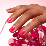 Pomme d’amour Jelly