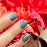 Vernis Sauge
